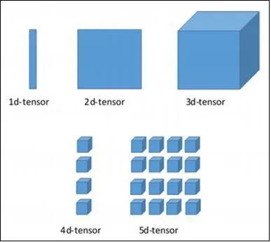 构建Tensor